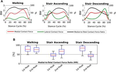 Medial and lateral knee contact forces during walking, stair ascent and stair descent are more affected by contact locations than tibiofemoral alignment in knee osteoarthritis patients with varus malalignment